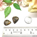 Orbicular Jasper Cabochon (Patience)