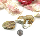 Oregon Opal Rough (Past Life Trauma Release)