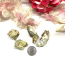 Oregon Opal Rough (Past Life Trauma Release)