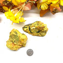 Orpiment Rough (Growth & Action)