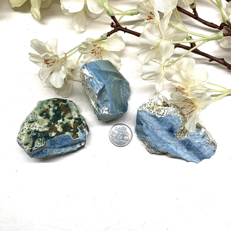 Owyhee Blue Opal Rough (Inspiration and Imagination)