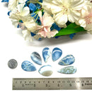 Owyhee Blue Opal Cabochon (Releasing Fears and Inhibitions)