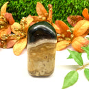 Petrified Palm Root Free Forms