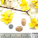 Peach Amazonite Cabochon (Balance and self discipline)