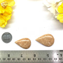 Peach Amazonite Cabochon (Balance and self discipline)