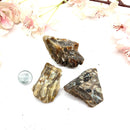 Peanut Wood Rough (Emotional Stability)