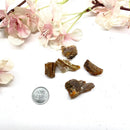 Peanut Wood Rough (Emotional Stability)