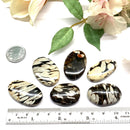 Peanut Wood Cabochon  (Emotional Stability)