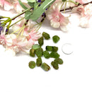 Peridot Rough (Prosperity and Cheerfulness)