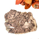 Petrified Wood Polished Slices (Madagascar)
