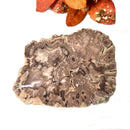 Petrified Wood Polished Slices (Madagascar)