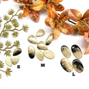 Petrified Palm Root Cabochon