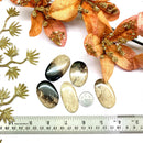 Petrified Palm Root Cabochon (Being Practical)