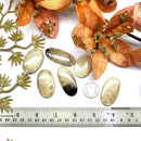 Petrified Palm Root Cabochon (Being Practical)