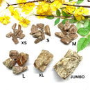 Petrified Wood Rough (Healing & Grounding)