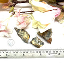 Picasso Jasper Rough (Connect to Earth Energy)