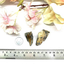 Picasso Jasper Rough (Connect to Earth Energy)