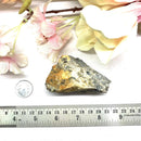 Picasso Jasper Rough (Connect to Earth Energy)