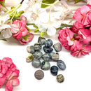 Picasso Jasper Tumble (Helps during Transitions)