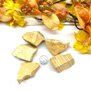 Picture Jasper Specimen Rough (Initiative & Action)