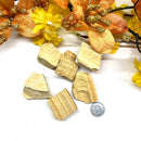 Picture Jasper Specimen Rough (Initiative & Action)