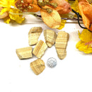 Picture Jasper Specimen Rough (Initiative & Action)