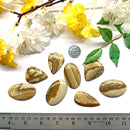 Picture Jasper Cabochon