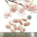 Pink Opal Cabochon (Heal emotional stress)