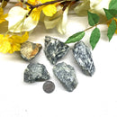 Pinolith Rough (Earth Energy)