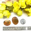 Polygram Jasper Cabochon