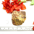 Poppy Jasper Rough (Positive Outlook)