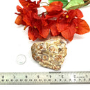Poppy Jasper Rough (Positive Outlook)