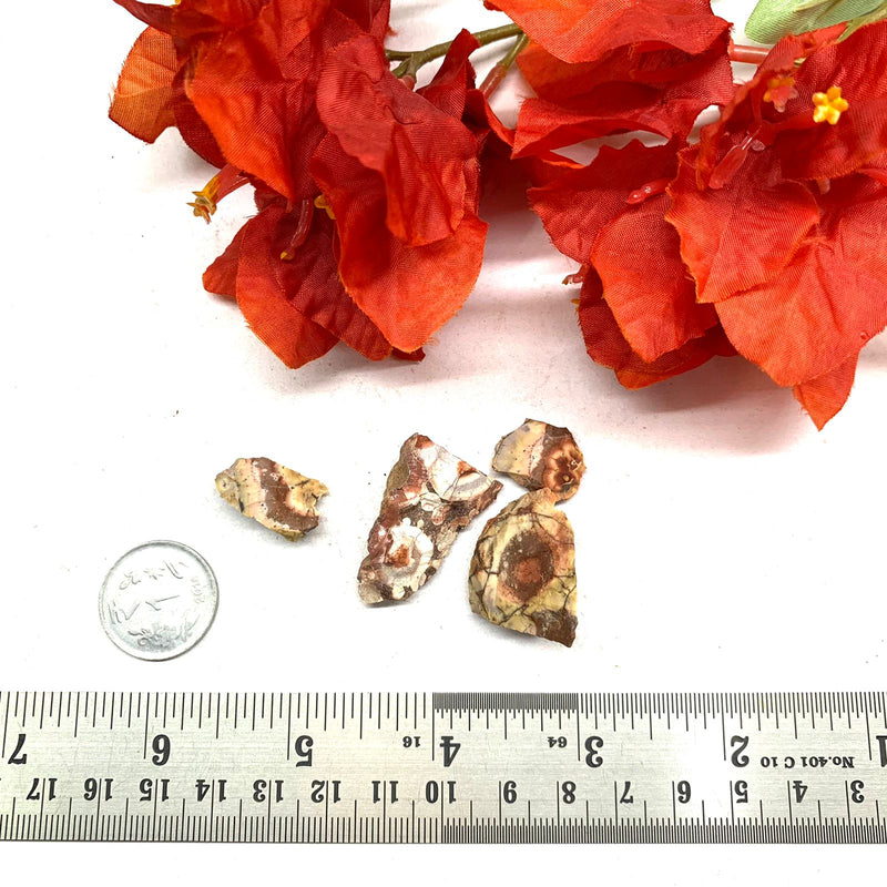 Poppy Jasper Rough (Positive Outlook)