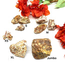Poppy Jasper Rough (Positive Outlook)