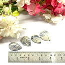 Porcelain Jasper Cabochon