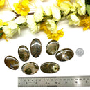 Priday Ranch Agate Cabochon