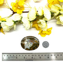 Priday Ranch Agate Cabochon