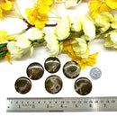 Priday Ranch Agate Cabochon