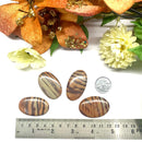 Print Stone Jasper Cabochon (Integrity and Justice)