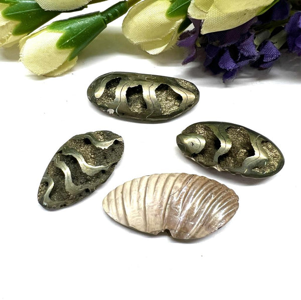 Rare Pyrite Ammonite / Pleuroceras (Russia) (Kundalini Activation)