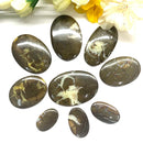 Pyrite Septarian Cabochon