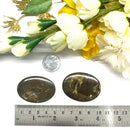 Pyrite Septarian Cabochon