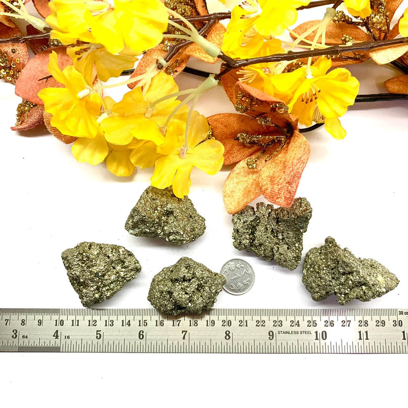 Pyrite Cluster Regular Quality (For Fame and Fortune)
