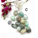 Quantum Quattro Tumble (Release Emotional Patterns)