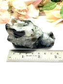 Dragon Head in Rainbow Moonstone