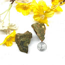 Rainforest Jasper / Rhyolite Rough