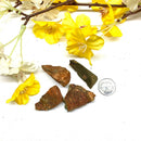 Rainforest Jasper / Rhyolite Rough