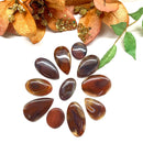 Red Botswana Agate Cabochon (Strength & Stability)