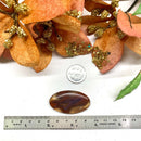 Red Botswana Agate Cabochon (Strength & Stability)