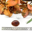 Red Botswana Agate Cabochon (Strength & Stability)